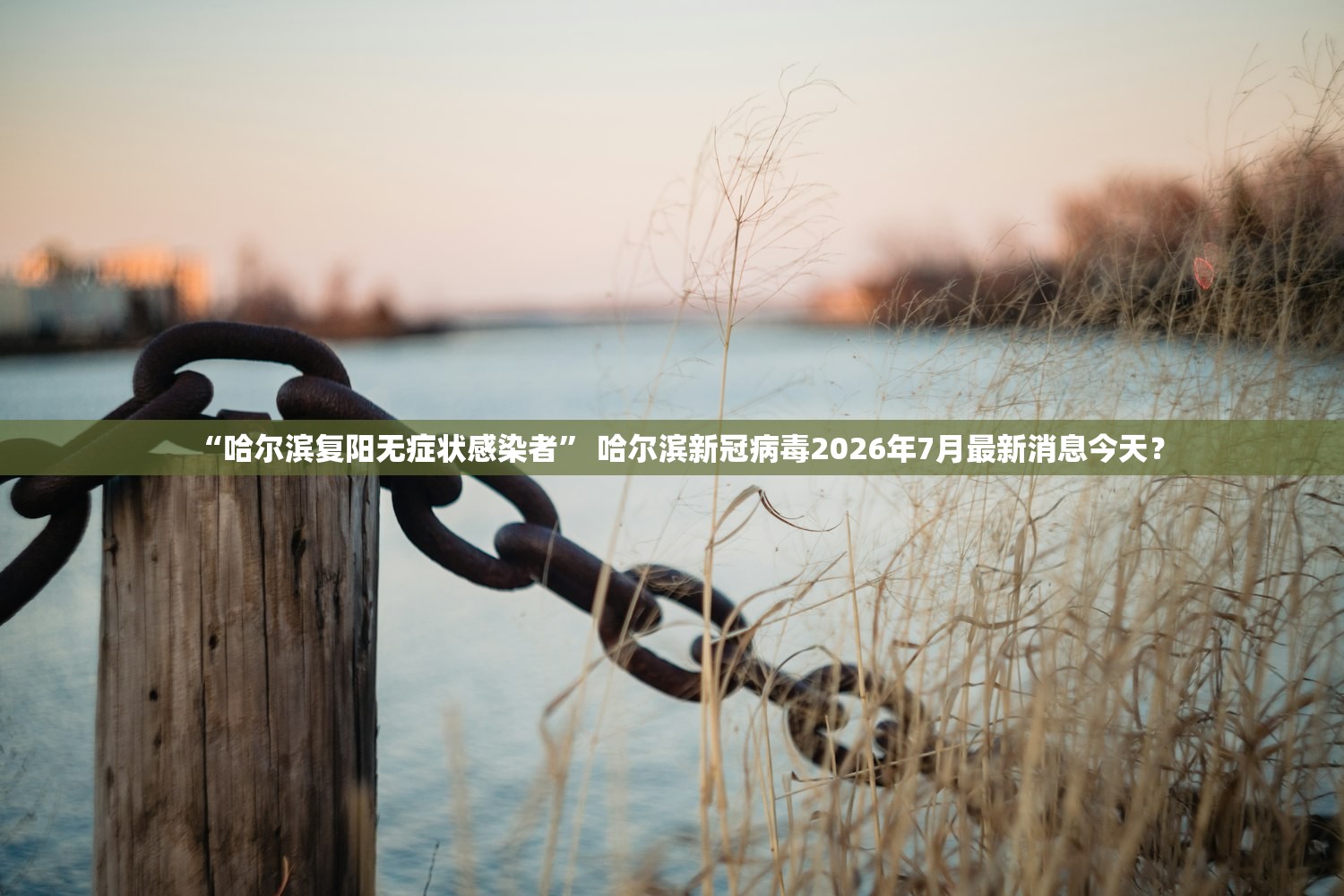 “哈尔滨复阳无症状感染者	” 哈尔滨新冠病毒2026年7月最新消息今天？