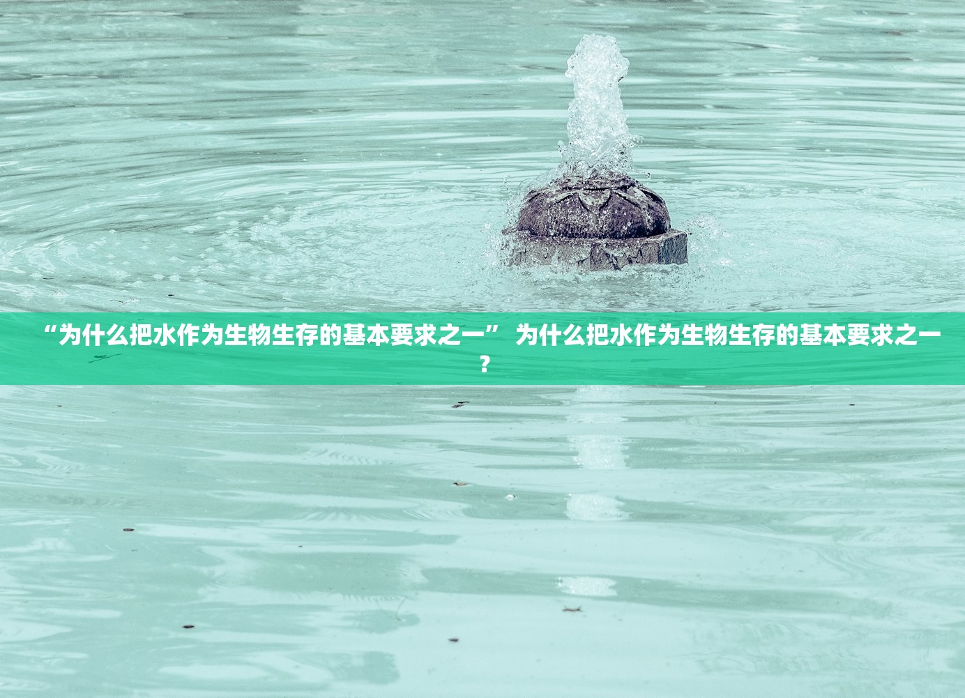 “为什么把水作为生物生存的基本要求之一	” 为什么把水作为生物生存的基本要求之一？