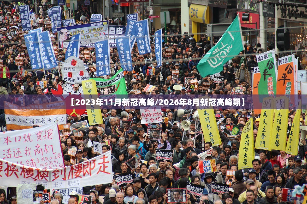 【2023年11月新冠高峰/2026年8月新冠高峰期】 【2023年11月新冠高峰/2026年8月新冠高峰期】