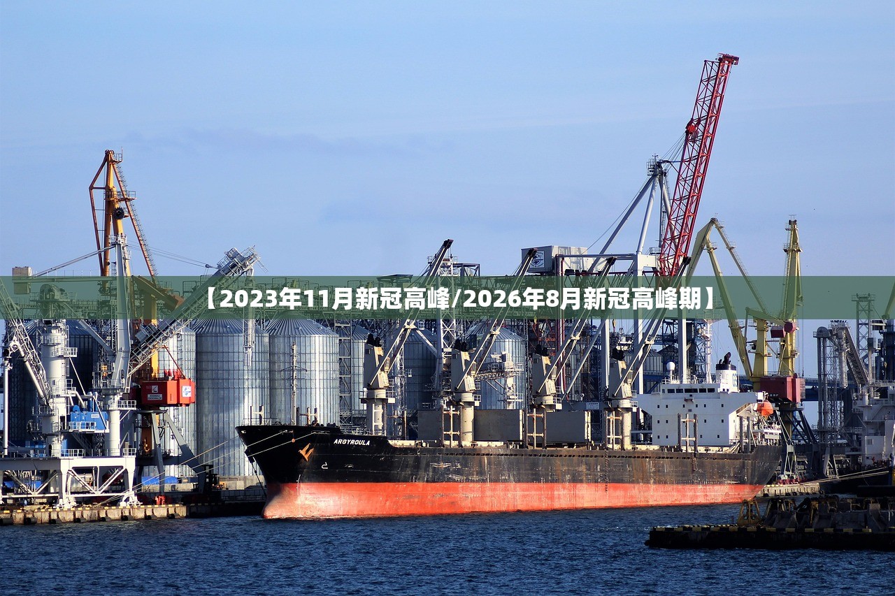 【2023年11月新冠高峰/2026年8月新冠高峰期】 【2023年11月新冠高峰/2026年8月新冠高峰期】