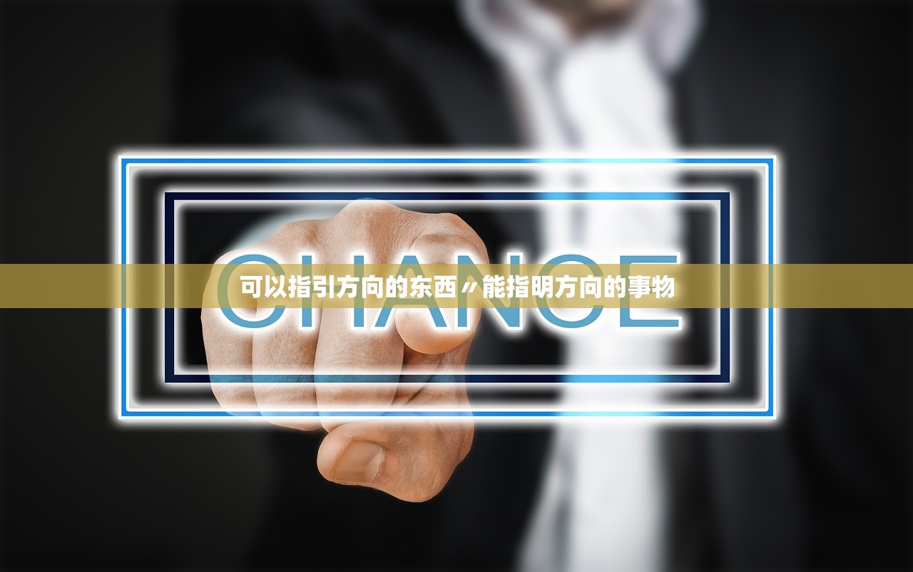 可以指引方向的东西〃能指明方向的事物