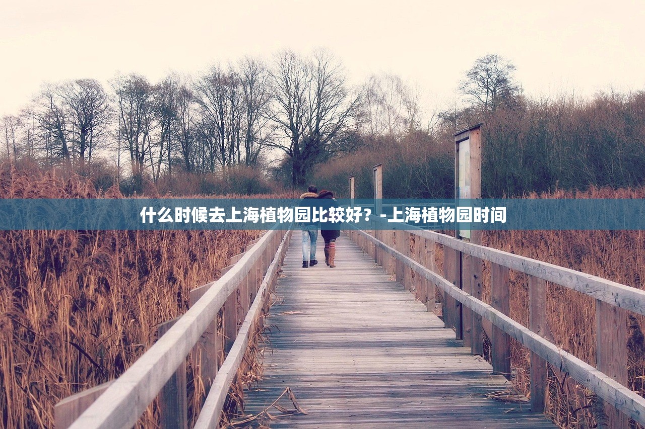 什么时候去上海植物园比较好?-上海植物园时间 什么时候去上海植物园比较好?-上海植物园时间