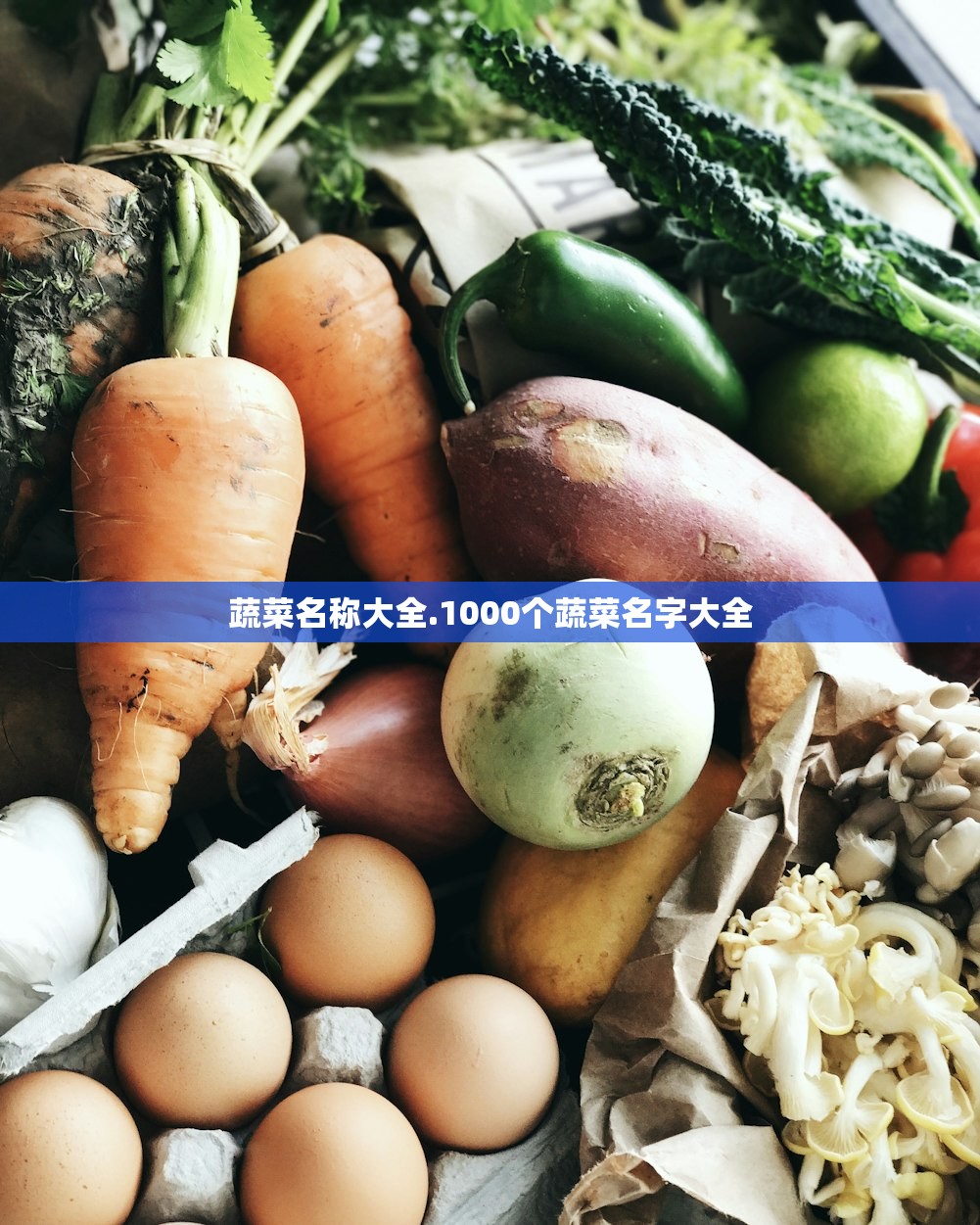 蔬菜名称大全.1000个蔬菜名字大全 蔬菜名称大全.1000个蔬菜名字大全