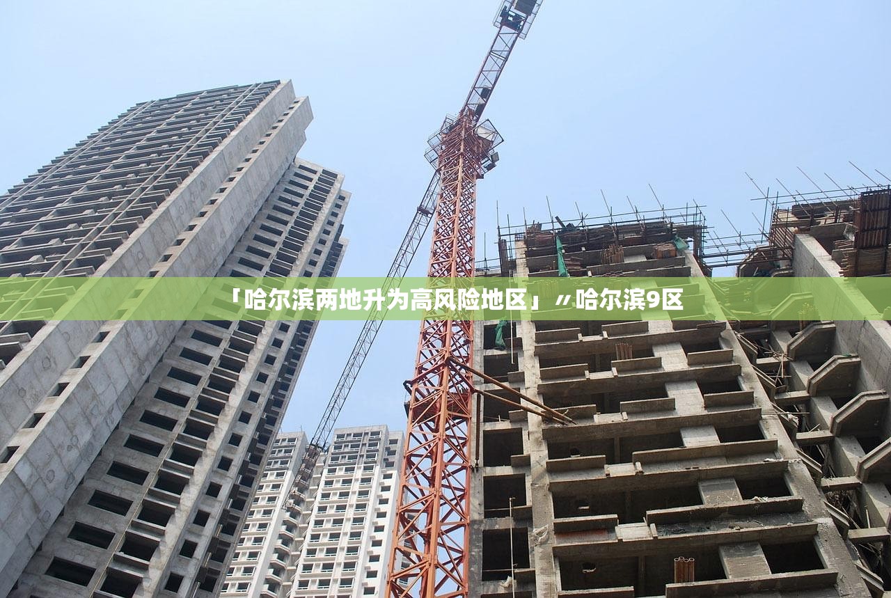 「哈尔滨两地升为高风险地区」〃哈尔滨9区