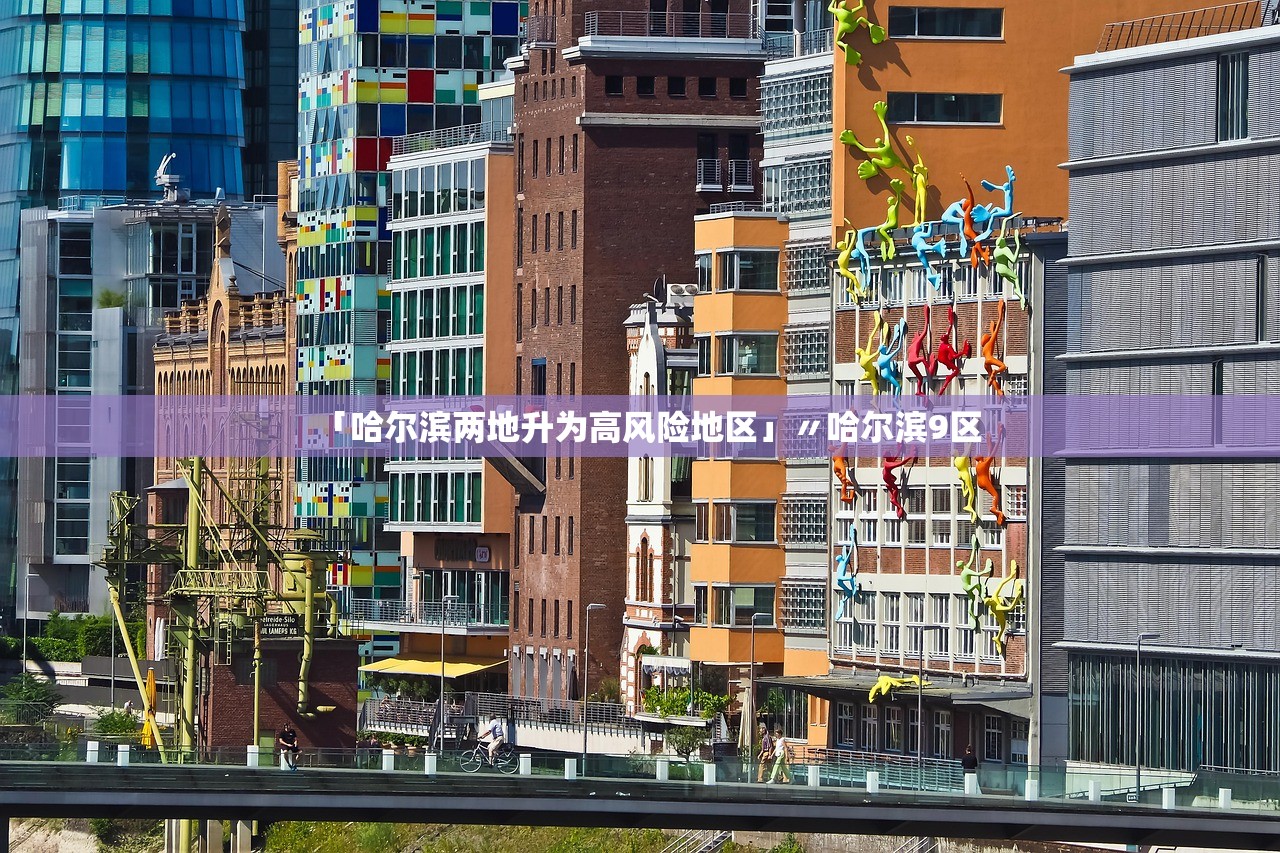 「哈尔滨两地升为高风险地区」〃哈尔滨9区