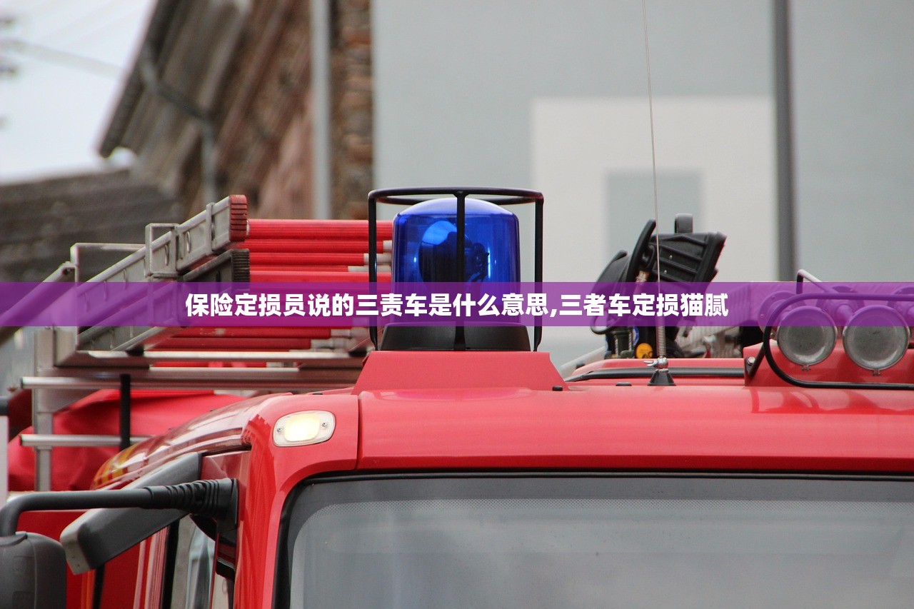 保险定损员说的三责车是什么意思,三者车定损猫腻 保险定损员说的三责车是什么意思,三者车定损猫腻
