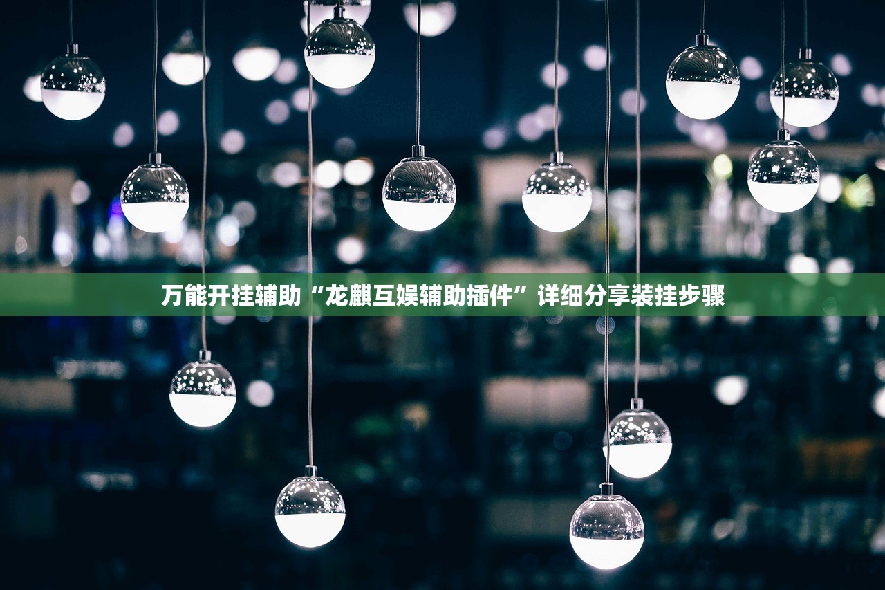 万能开挂辅助“龙麒互娱辅助插件”详细分享装挂步骤