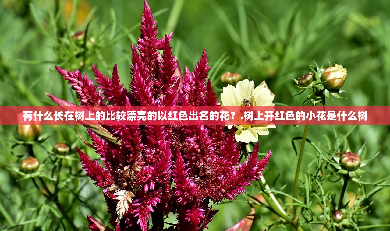有什么长在树上的比较漂亮的以红色出名的花?.树上开红色的小花是什么树 有什么长在树上的比较漂亮的以红色出名的花?.树上开红色的小花是什么树