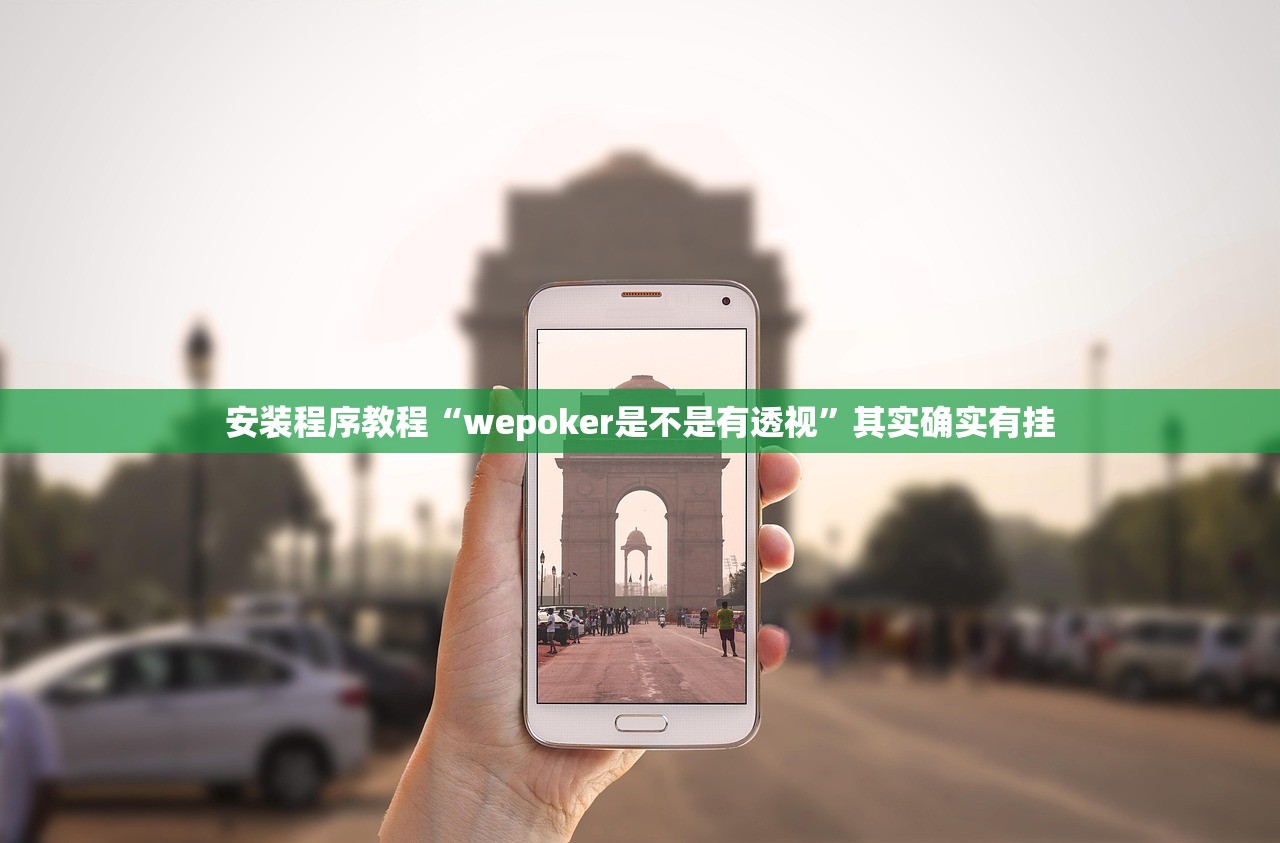 安装程序教程“wepoker是不是有透视”其实确实有挂