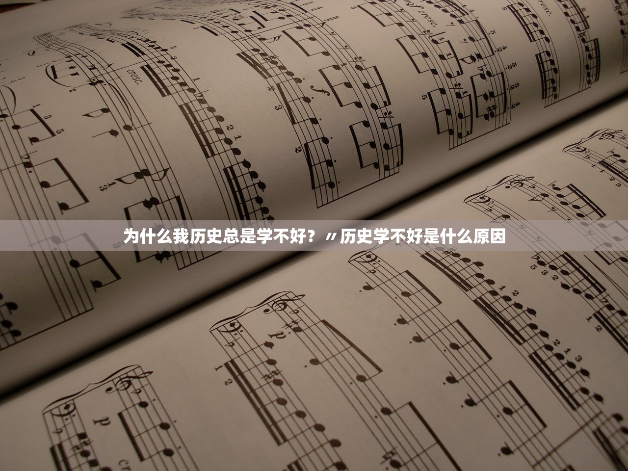 为什么我历史总是学不好？〃历史学不好是什么原因