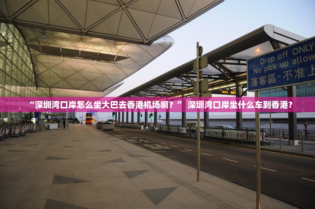 “深圳湾口岸怎么坐大巴去香港机场啊？	” 深圳湾口岸坐什么车到香港？