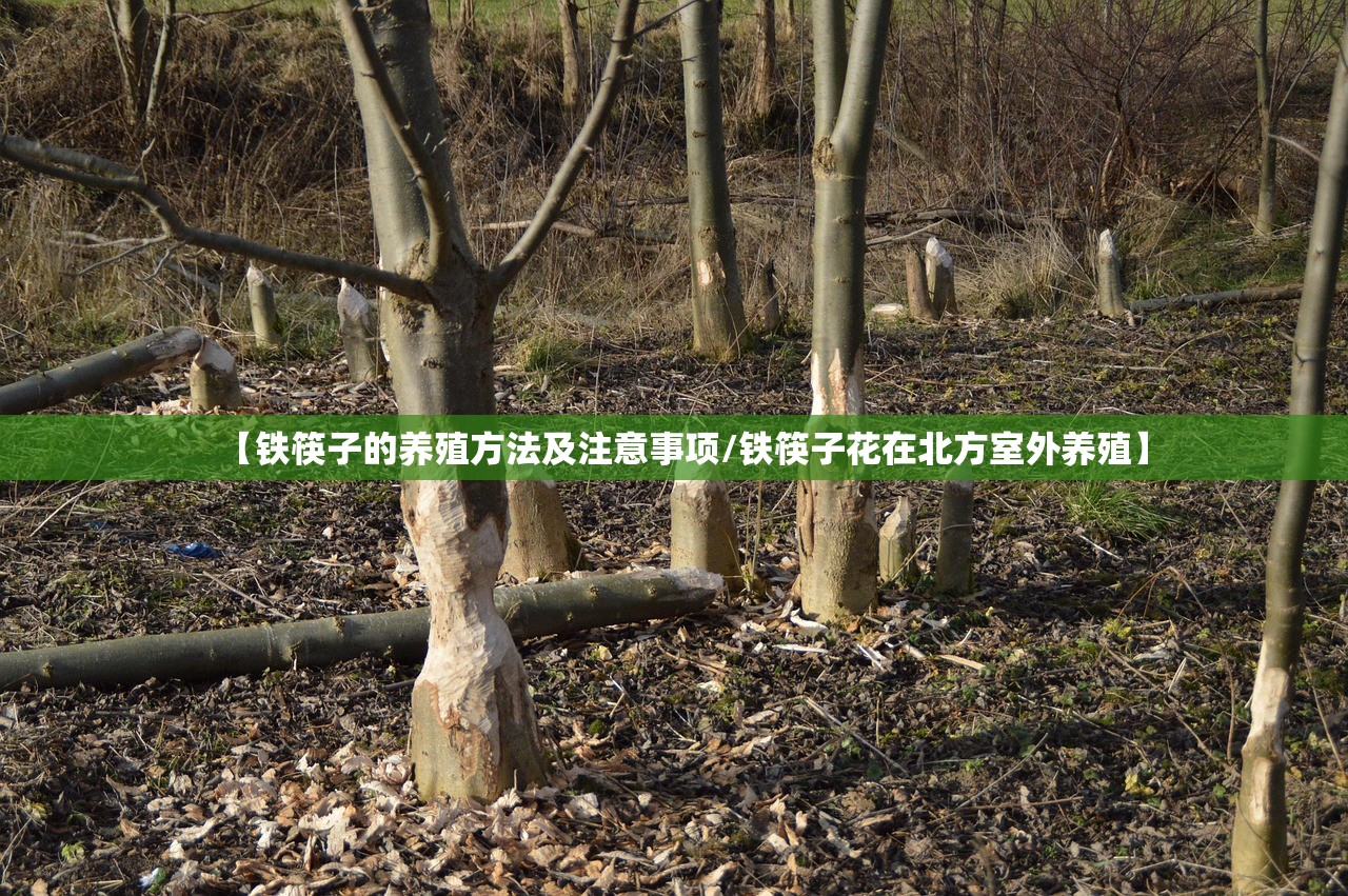 【铁筷子的养殖方法及注意事项/铁筷子花在北方室外养殖】 【铁筷子的养殖方法及注意事项/铁筷子花在北方室外养殖】