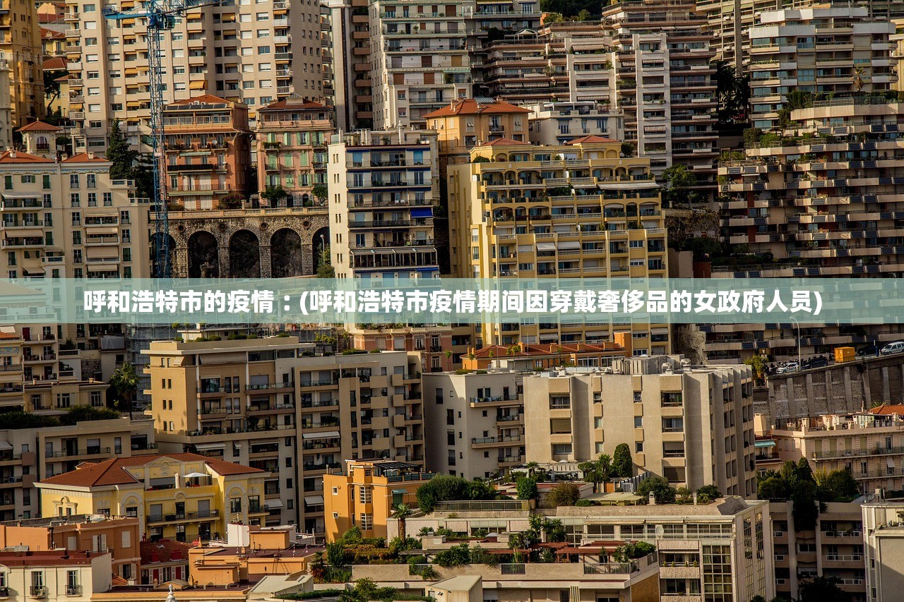 呼和浩特市的疫情︰(呼和浩特市疫情期间因穿戴奢侈品的女政府人员)
