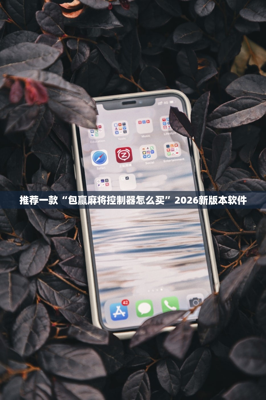 推荐一款“包赢麻将控制器怎么买”2026新版本软件