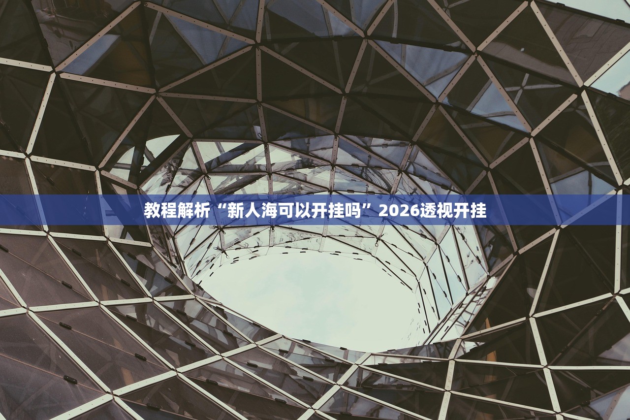 教程解析“新人海可以开挂吗”2026透视开挂