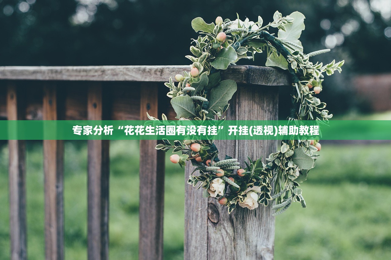 专家分析“花花生活圈有没有挂”开挂(透视)辅助教程