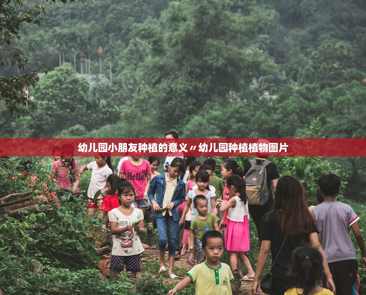 幼儿园小朋友种植的意义〃幼儿园种植植物图片