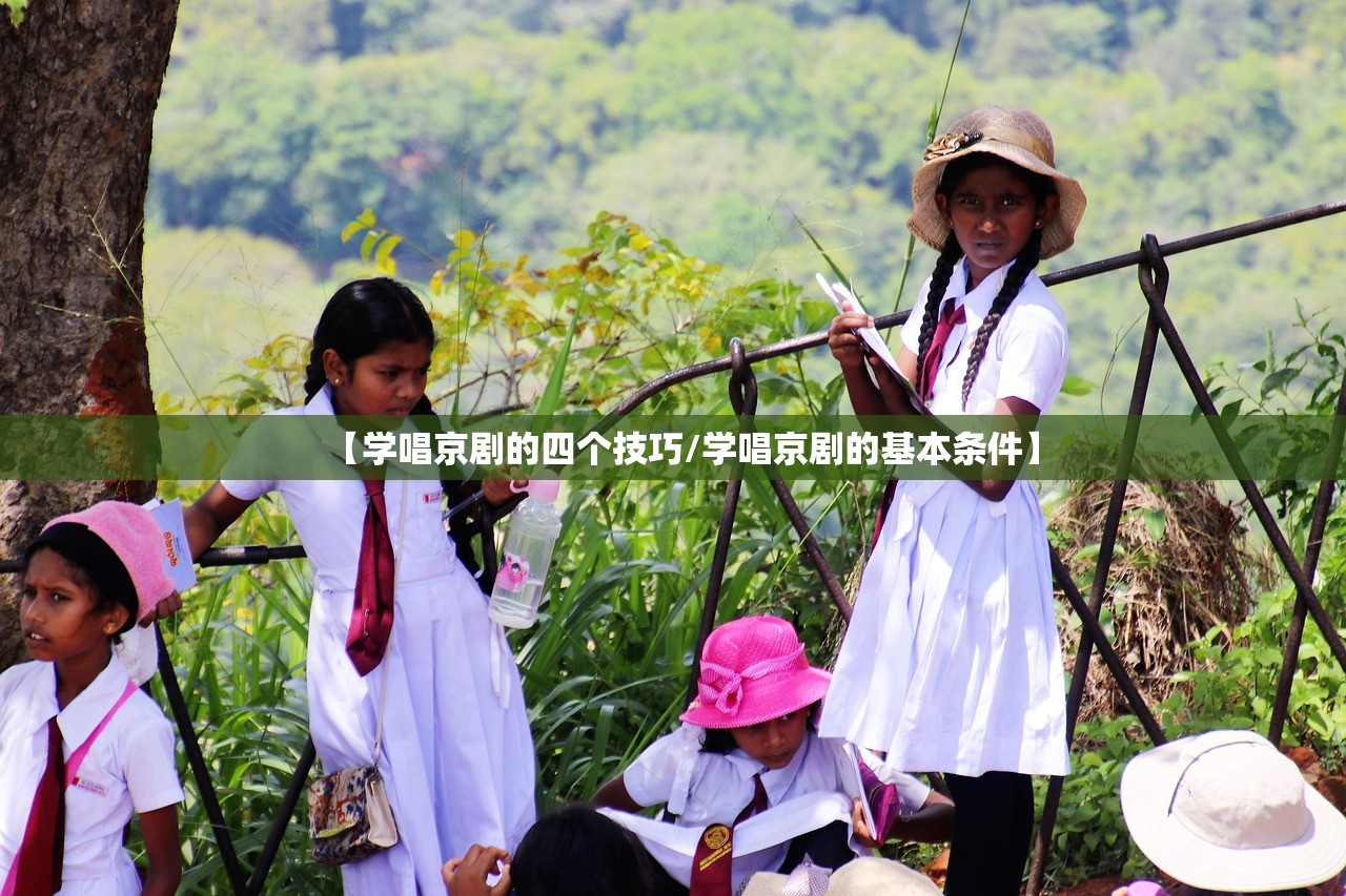 【学唱京剧的四个技巧/学唱京剧的基本条件】 【学唱京剧的四个技巧/学唱京剧的基本条件】