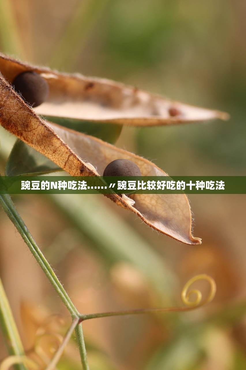 豌豆的N种吃法……〃豌豆比较好吃的十种吃法