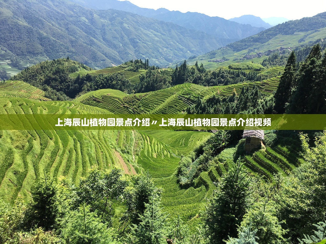 上海辰山植物园景点介绍〃上海辰山植物园景点介绍视频 上海辰山植物园景点介绍〃上海辰山植物园景点介绍视频