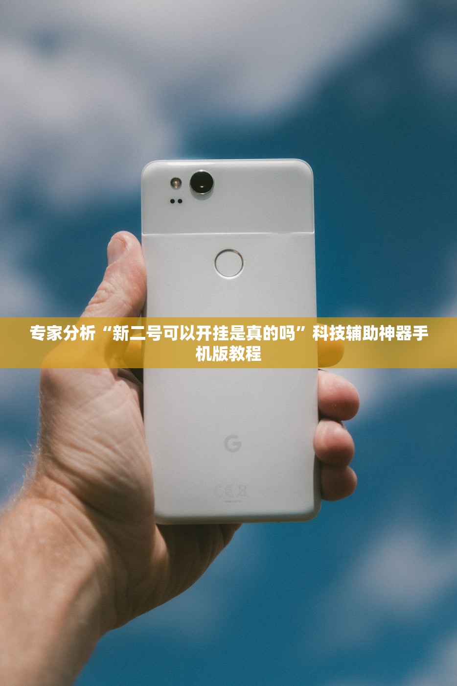 专家分析“新二号可以开挂是真的吗	”科技辅助神器手机版教程