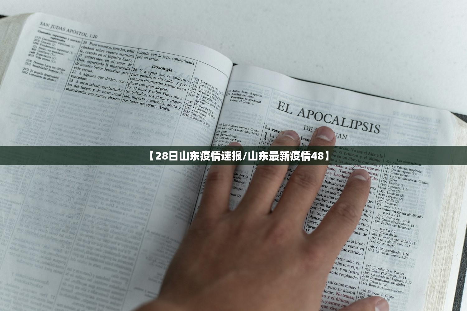 【28日山东疫情速报/山东最新疫情48】 【28日山东疫情速报/山东最新疫情48】