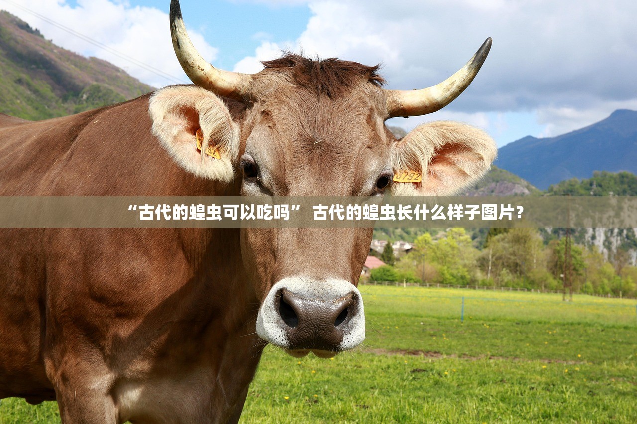 “古代的蝗虫可以吃吗” 古代的蝗虫长什么样子图片？