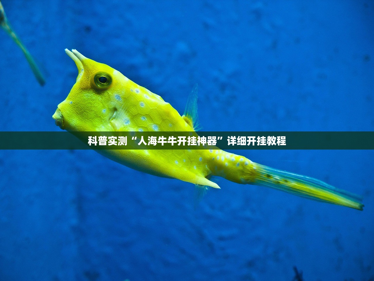 科普实测“人海牛牛开挂神器	”详细开挂教程