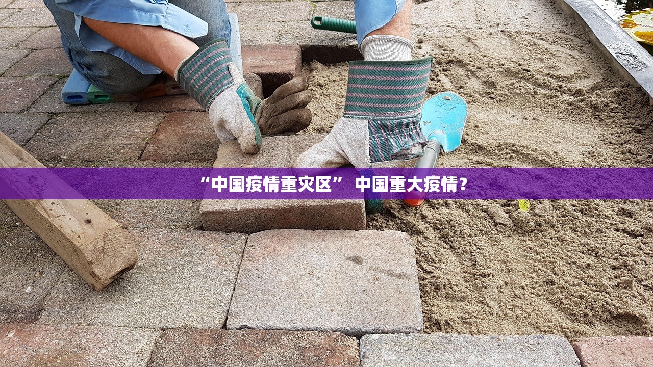 “中国疫情重灾区” 中国重大疫情？