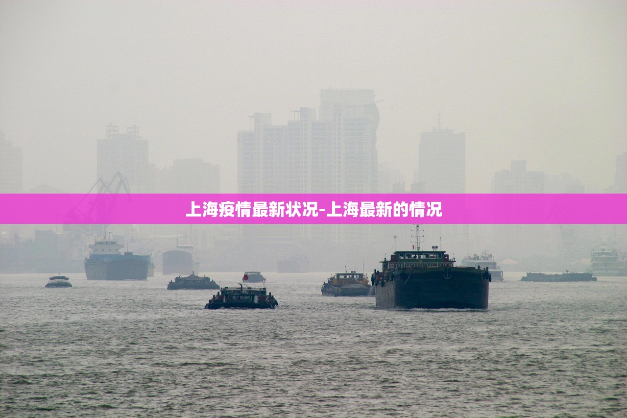 上海疫情最新状况-上海最新的情况 上海疫情最新状况-上海最新的情况
