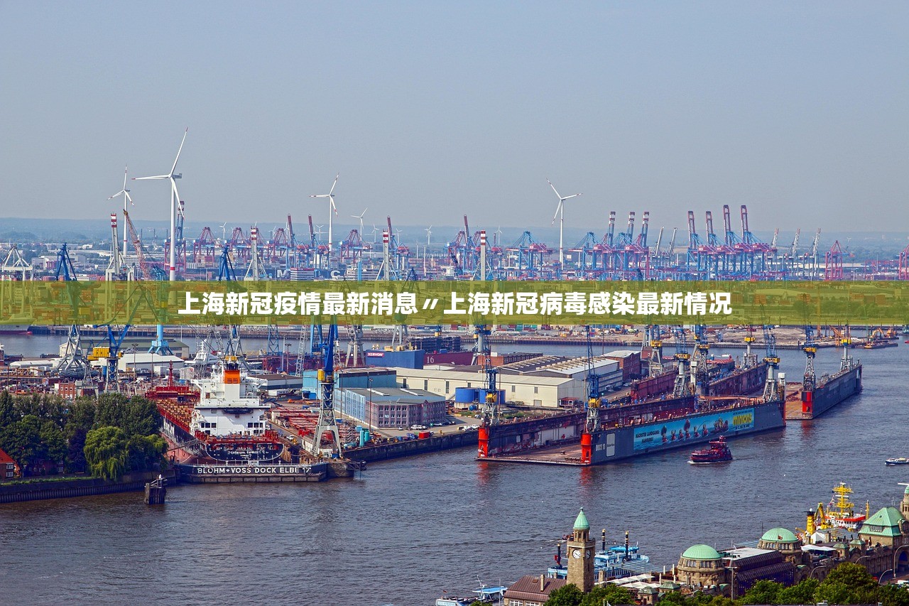 上海新冠疫情最新消息〃上海新冠病毒感染最新情况 上海新冠疫情最新消息〃上海新冠病毒感染最新情况