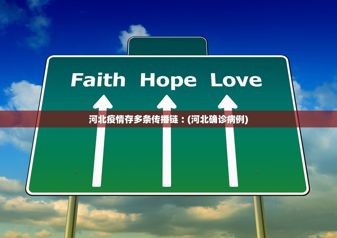 河北疫情存多条传播链︰(河北确诊病例) 河北疫情存多条传播链︰(河北确诊病例)