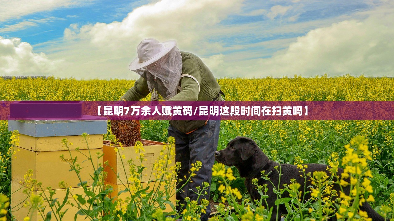 【昆明7万余人赋黄码/昆明这段时间在扫黄吗】 【昆明7万余人赋黄码/昆明这段时间在扫黄吗】