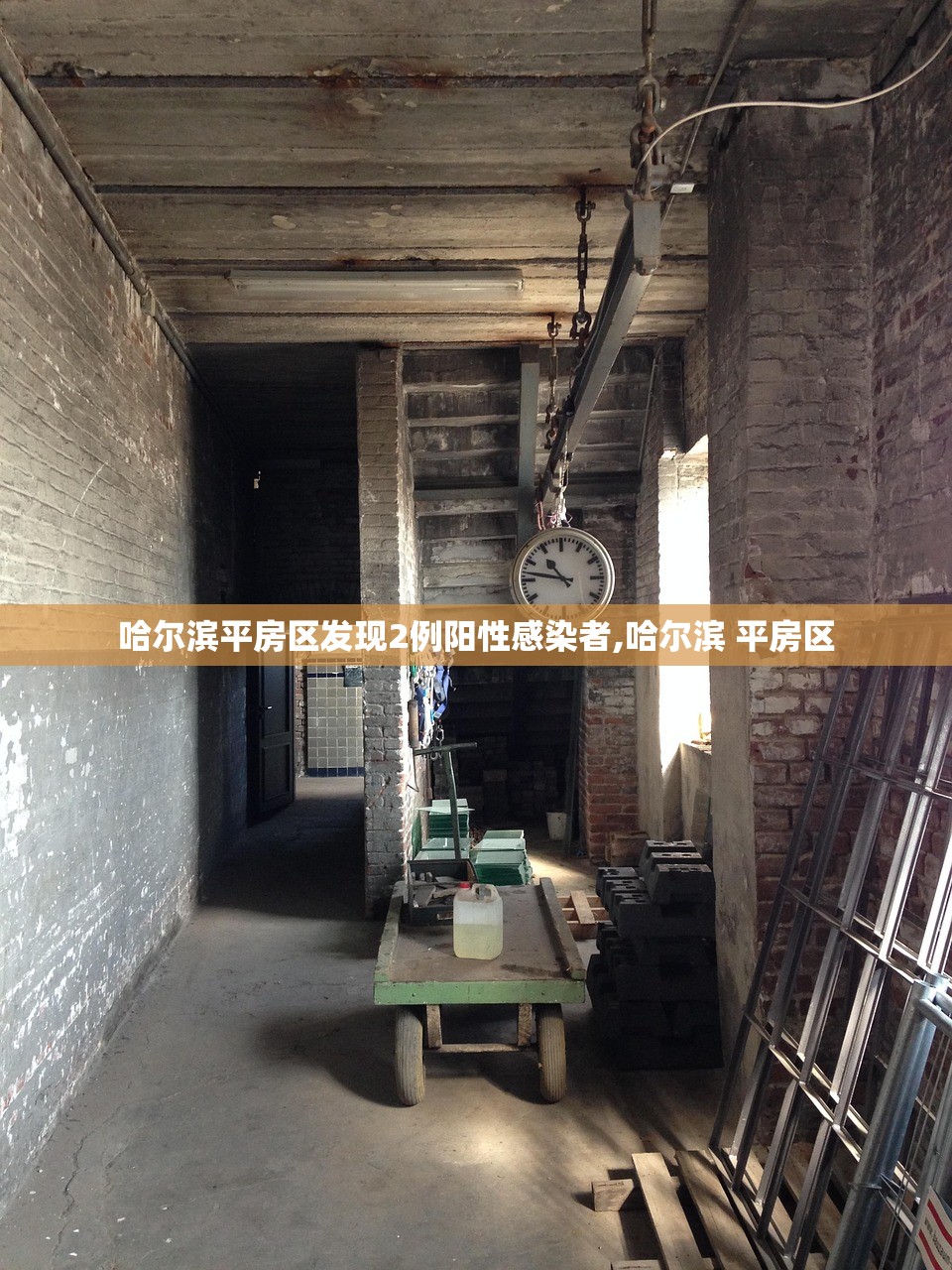 哈尔滨平房区发现2例阳性感染者,哈尔滨 平房区 哈尔滨平房区发现2例阳性感染者,哈尔滨 平房区