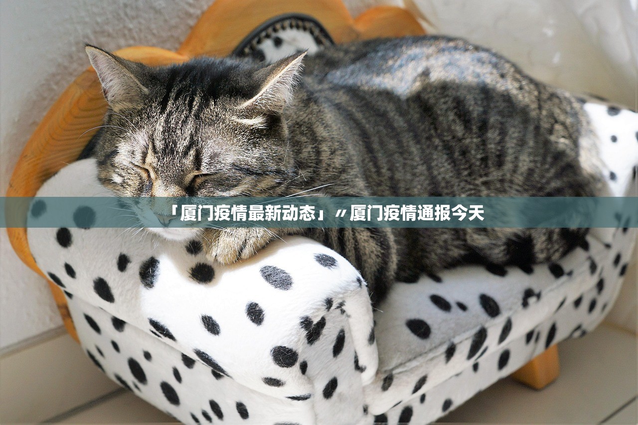 「厦门疫情最新动态」〃厦门疫情通报今天 「厦门疫情最新动态」〃厦门疫情通报今天