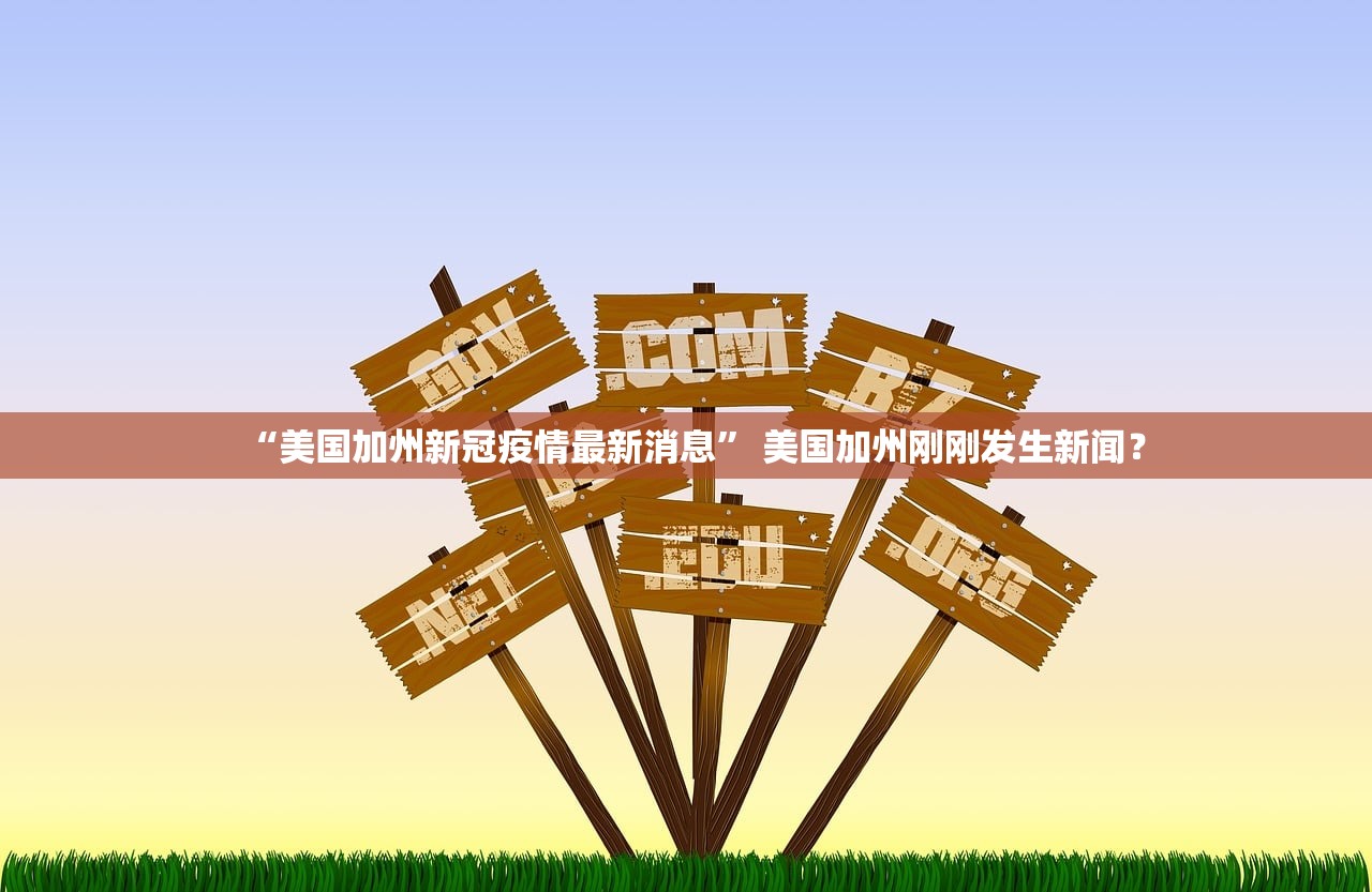 “美国加州新冠疫情最新消息” 美国加州刚刚发生新闻？