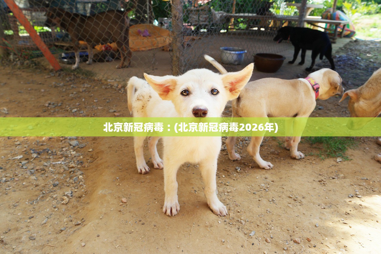 北京新冠病毒︰(北京新冠病毒2026年) 北京新冠病毒︰(北京新冠病毒2026年)