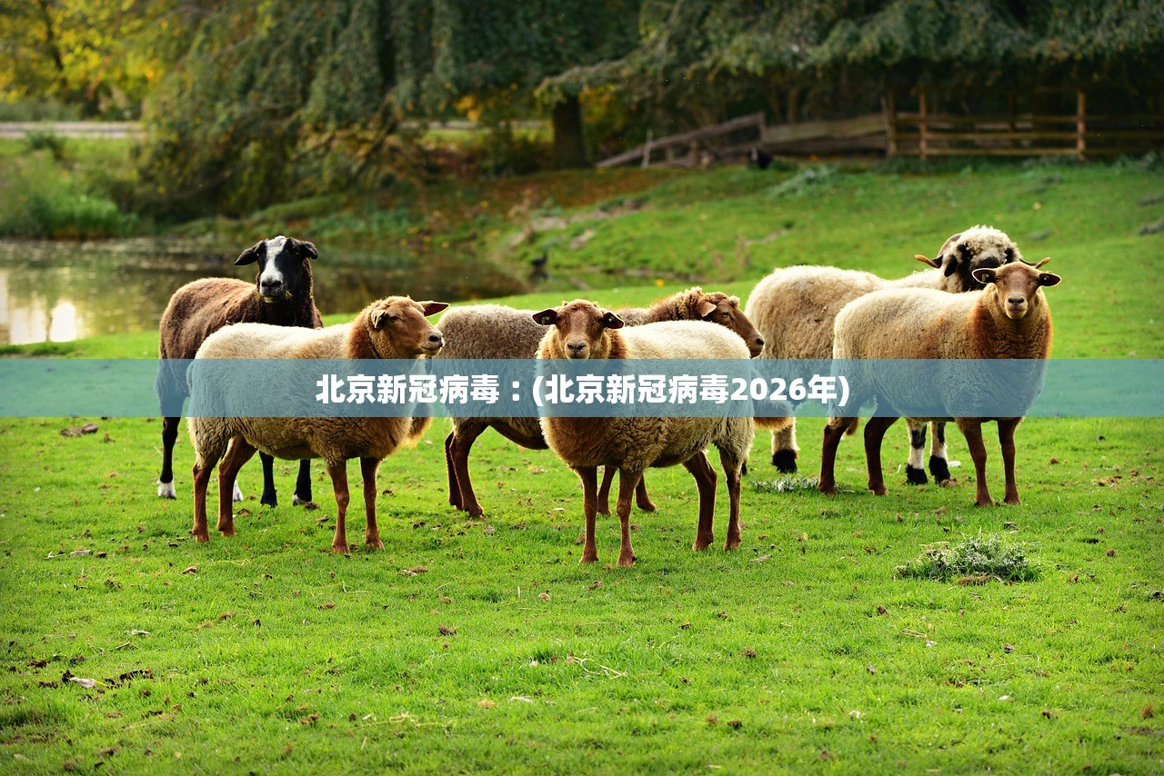 北京新冠病毒︰(北京新冠病毒2026年) 北京新冠病毒︰(北京新冠病毒2026年)