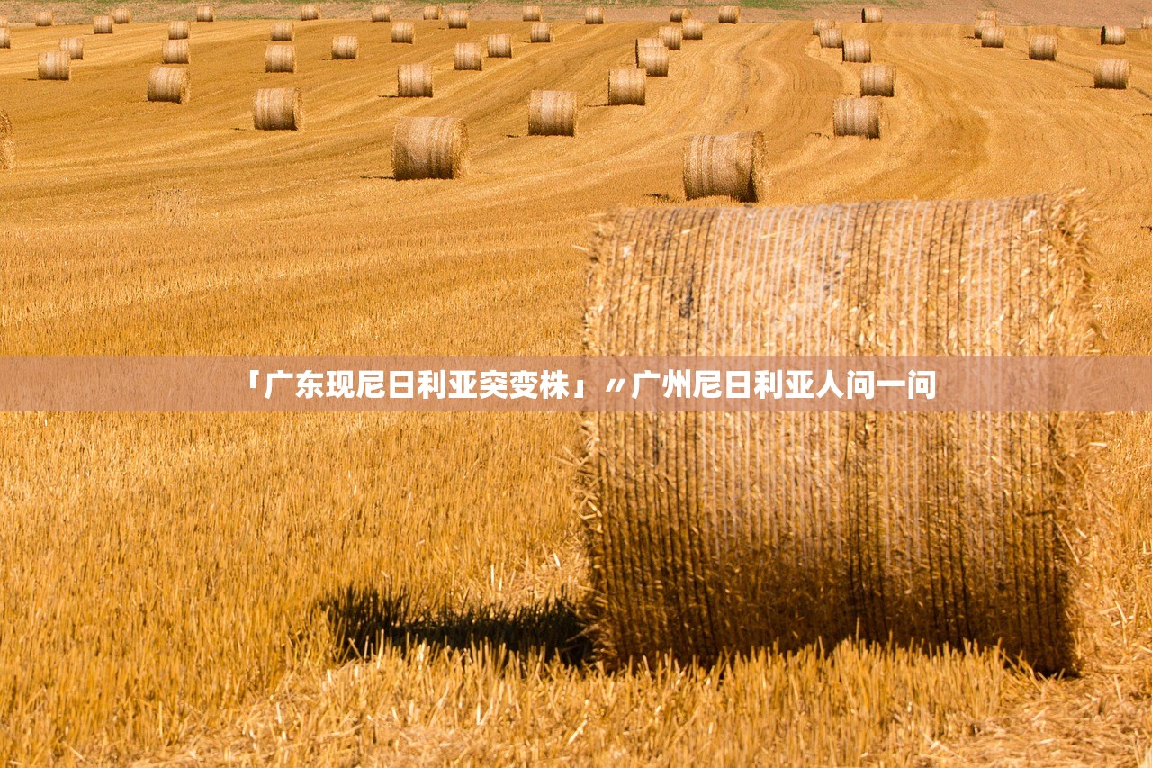 「广东现尼日利亚突变株」〃广州尼日利亚人问一问
