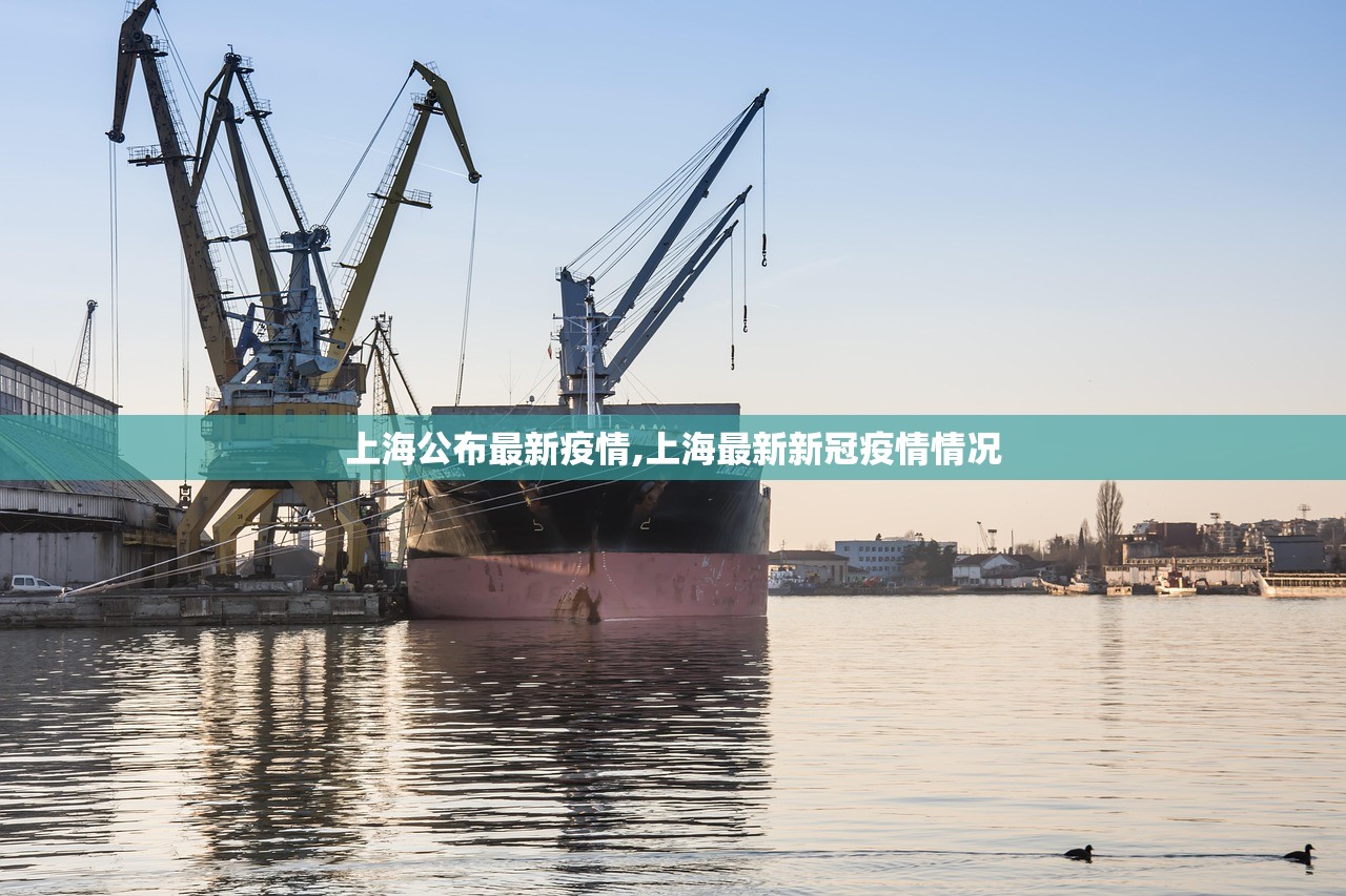 上海公布最新疫情,上海最新新冠疫情情况 上海公布最新疫情,上海最新新冠疫情情况