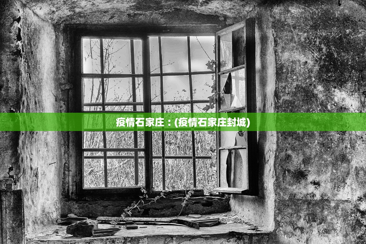 疫情石家庄︰(疫情石家庄封城) 疫情石家庄︰(疫情石家庄封城)