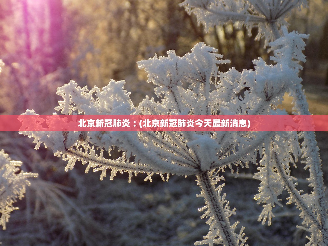 北京新冠肺炎︰(北京新冠肺炎今天最新消息) 北京新冠肺炎︰(北京新冠肺炎今天最新消息)