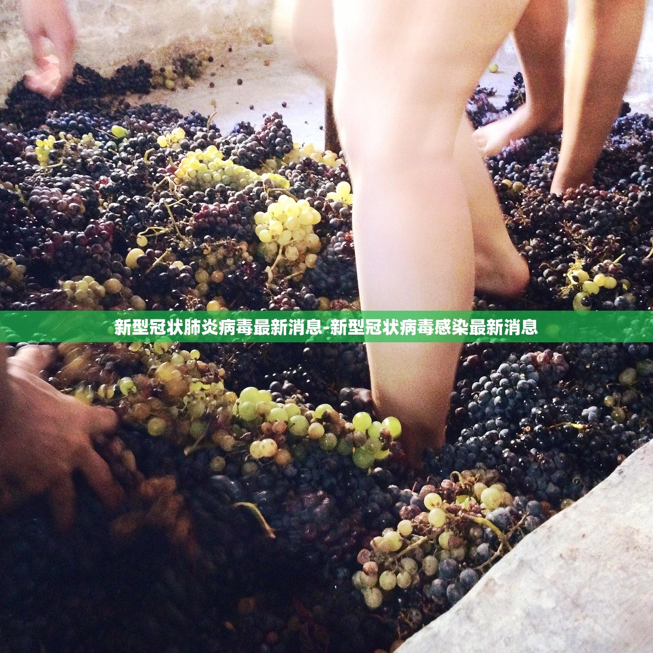 新型冠状肺炎病毒最新消息-新型冠状病毒感染最新消息