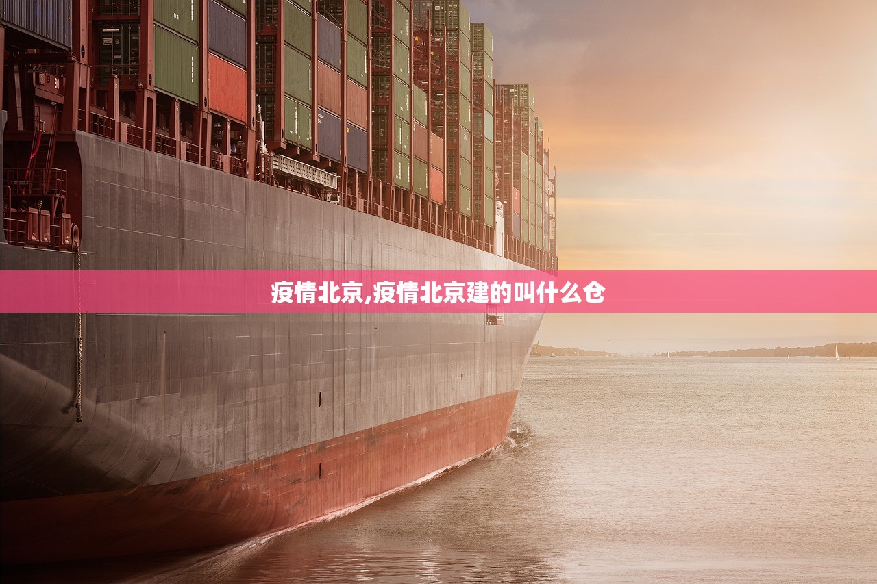 疫情北京,疫情北京建的叫什么仓 疫情北京,疫情北京建的叫什么仓