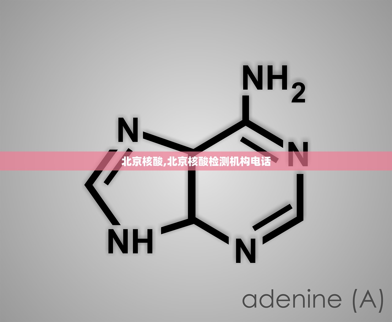 北京核酸,北京核酸检测机构电话 北京核酸,北京核酸检测机构电话