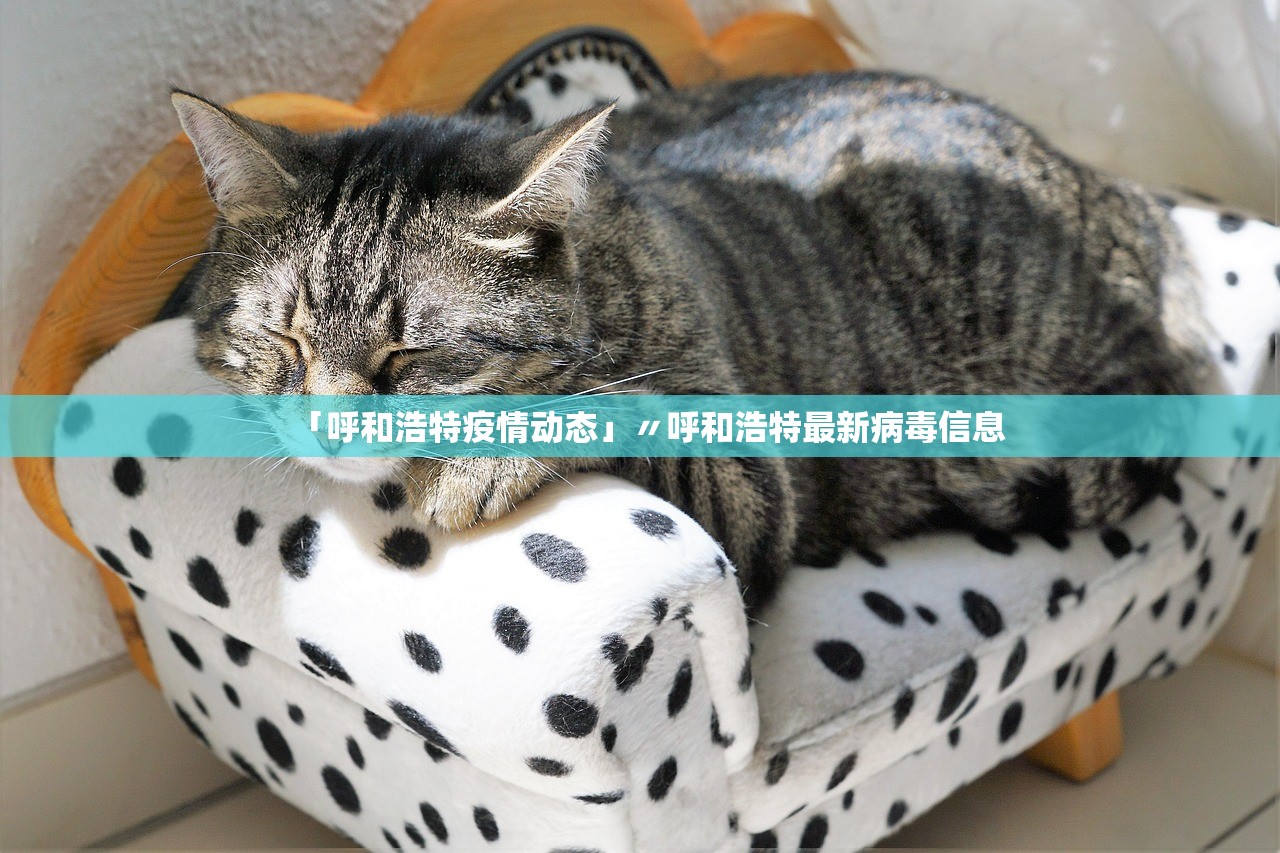 「呼和浩特疫情动态」〃呼和浩特最新病毒信息 「呼和浩特疫情动态」〃呼和浩特最新病毒信息