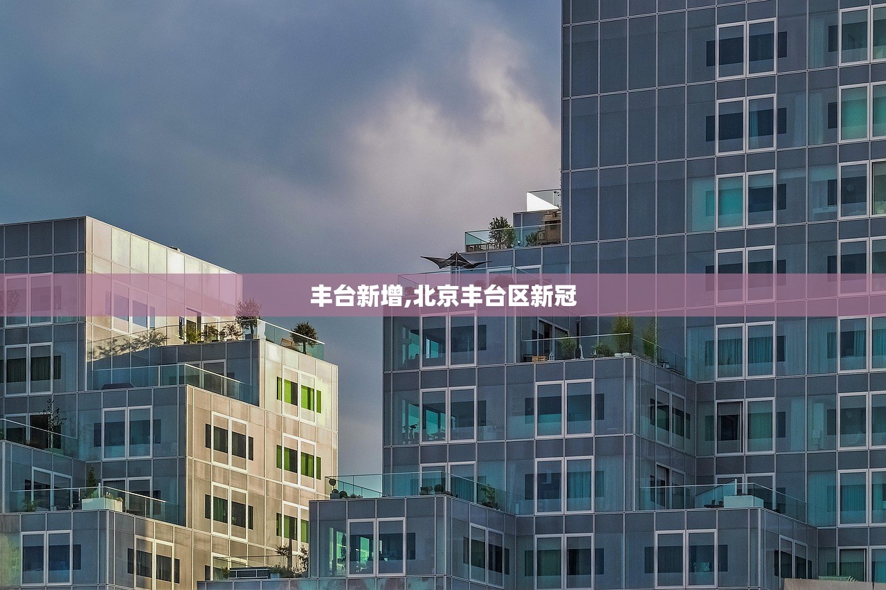 丰台新增,北京丰台区新冠 丰台新增,北京丰台区新冠