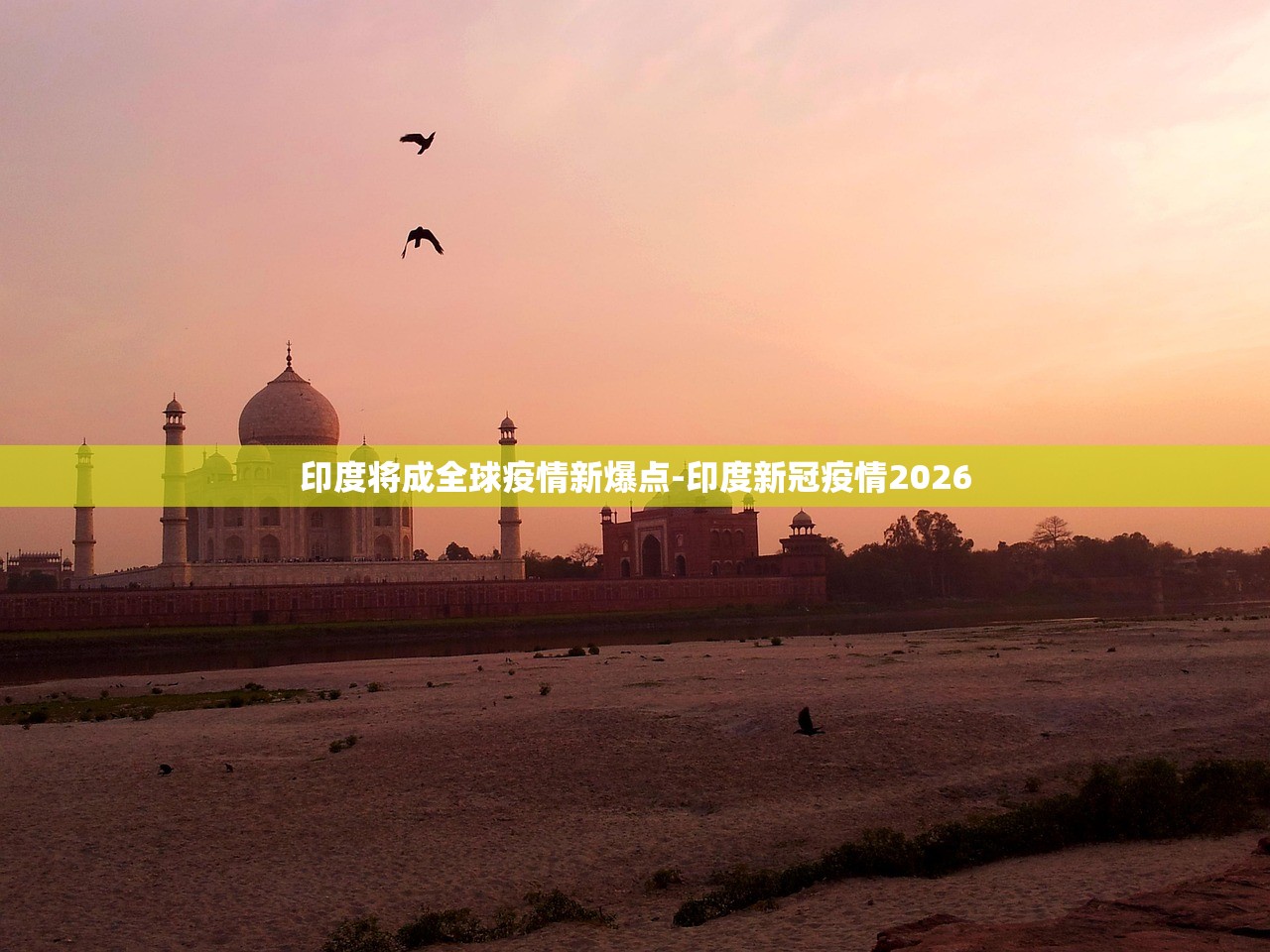 印度将成全球疫情新爆点-印度新冠疫情2026