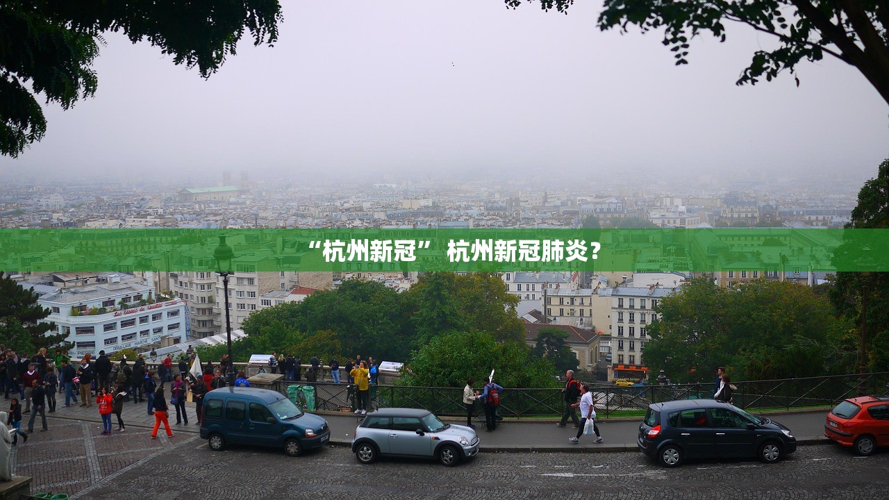 “杭州新冠” 杭州新冠肺炎？