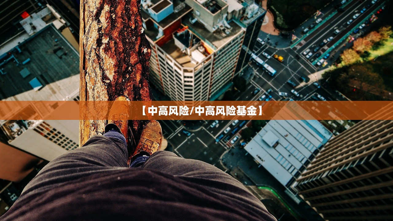 【中高风险/中高风险基金】 【中高风险/中高风险基金】